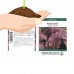 Osaka Purple Mustard Seeds: 2 Gram Packet - Non-GMO Seeds for Microgreens, Micro Herb Greens, Vegetable Garden   565498674